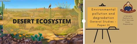 Desert Ecosystem