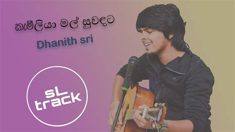 Kemiliya Mal Sinhala Songs Dhanith Sri Cover Kithsiri