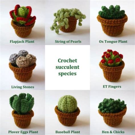 Oh Yes Please Adorable Crocheted Succulents Found Over Crochet