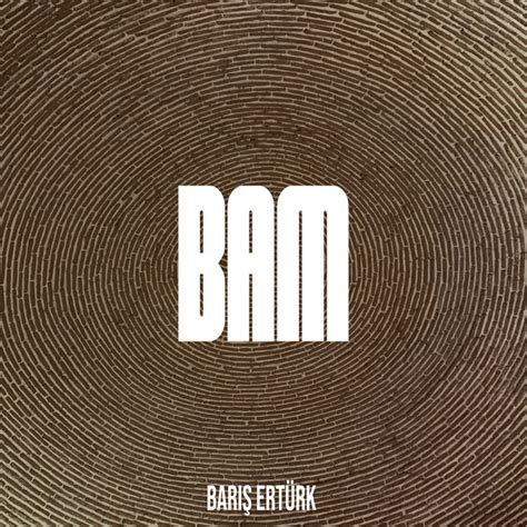 Bam Single By Barış Ertürk Spotify