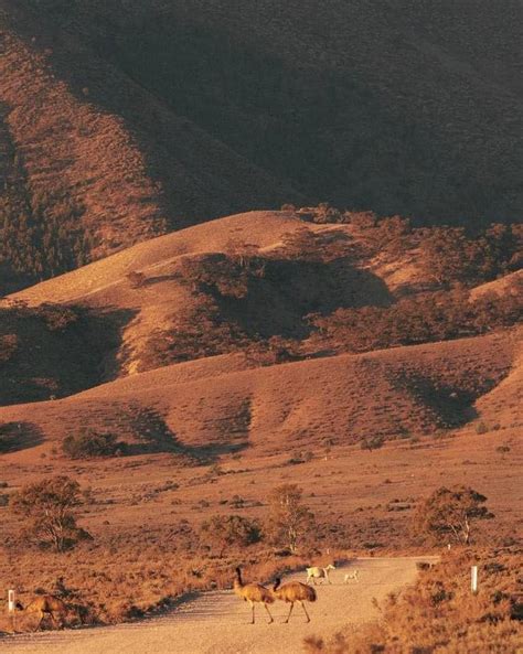 Spear Creek Holiday Park Woolundunga Sa