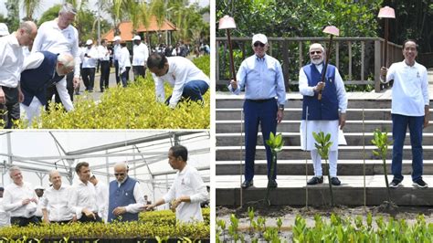 G20 Bali Summit 2022 Summits Key Leaders Plant Trees In Mangrove Forest