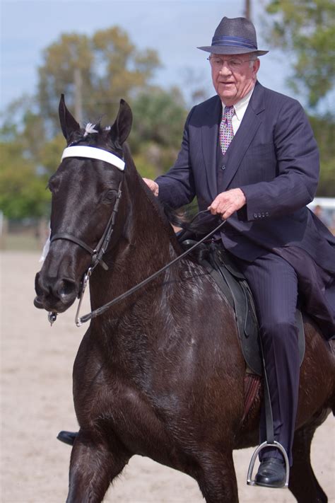 Tennessee Walking Horse Breed Profile