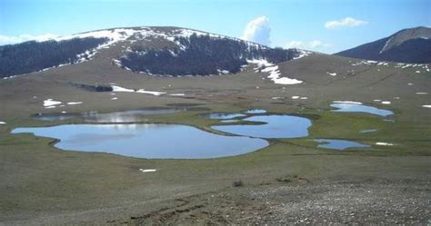 Randagi In Moto We Da Lupi Pantani Di Accumoli