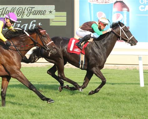 Midnight Current seeks 11th win over local turf course