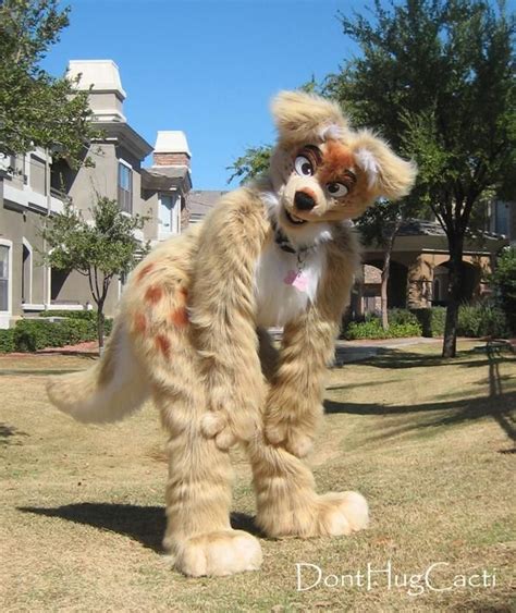 Photos From Lucky Skuff Coyote Donthugcacti On Myspace Fursuit