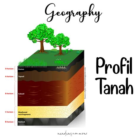 Pengertian Profil Tanah Sinau