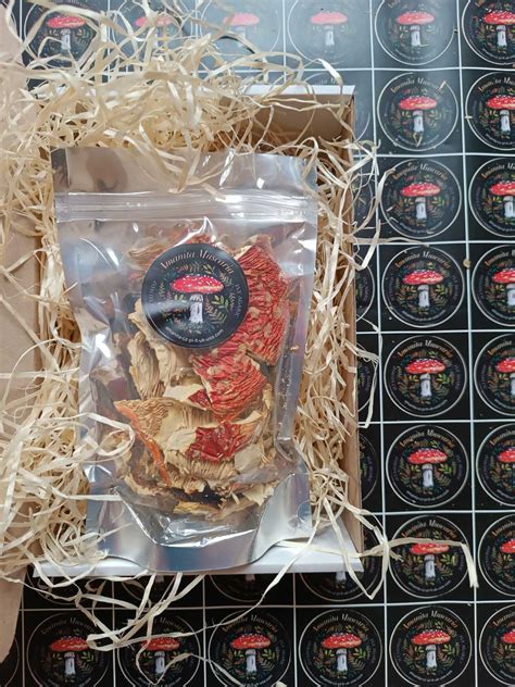 Pieces of amanita - Amanita