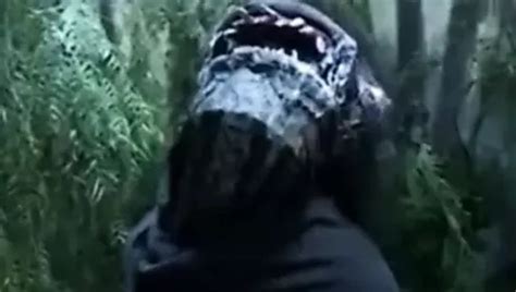 Free Fantasy Sex Porn Videos Xhamster