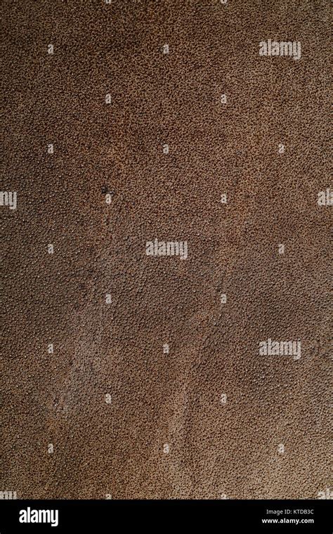 Dark Brown Leather Texture Stock Photo Alamy