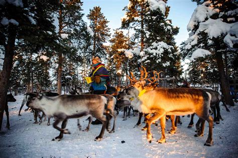 In photos: Sweden's incredible reindeer herders | Adventure.com