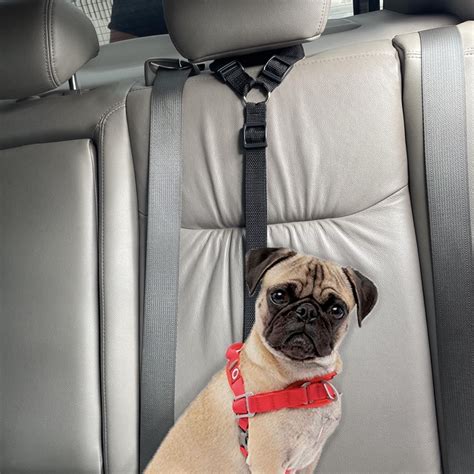 Cinto Para Pet Carro - Cinto Segurança Para Encosto De Cabeça Carro Pet Ajuste De Tamanho ...