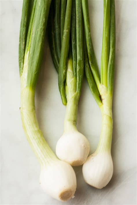 Difference Between Scallions And Green And Spring Onions Kitchn