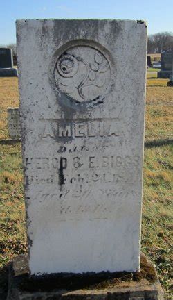 Amelia Ann Biggs M Morial Find A Grave