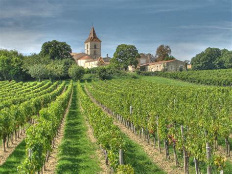 Bordeaux River Wine Cruise | Vineyards france, France wine, Bordeaux wine