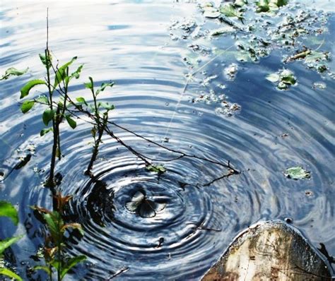 Круги на воде... (Светлана Груздева) / Стихи.ру