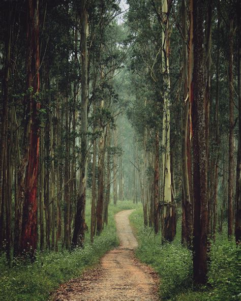 Kerala Nature Wallpapers Top Free Kerala Nature Backgrounds