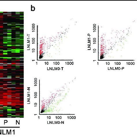 The Abnormal Expression Landscape Of Circrna In Tissues Of Colorectal