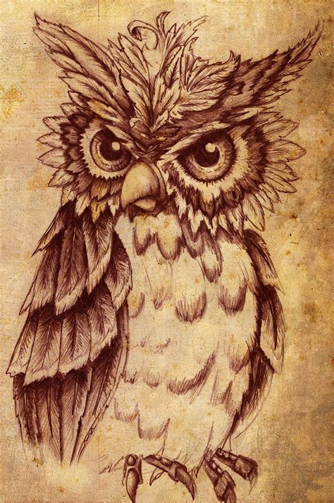 Рисованные совы. Подборка – Art-Dot