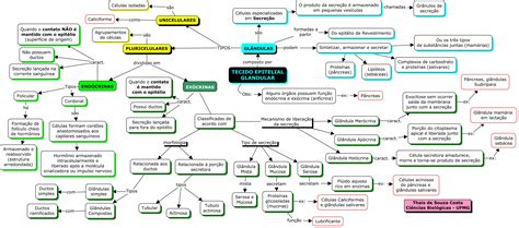 Tejido Epitelial Mapa Conceptual ¡guía Paso A Paso
