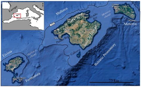 posidonia oceanica cartography  evolution   balearic sea