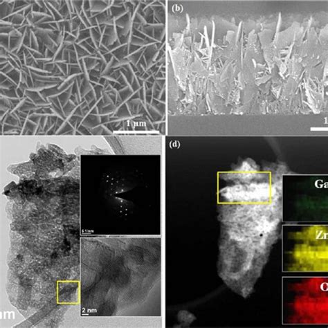 A And C Top View FESEM Images B And D Cross Sectional Images