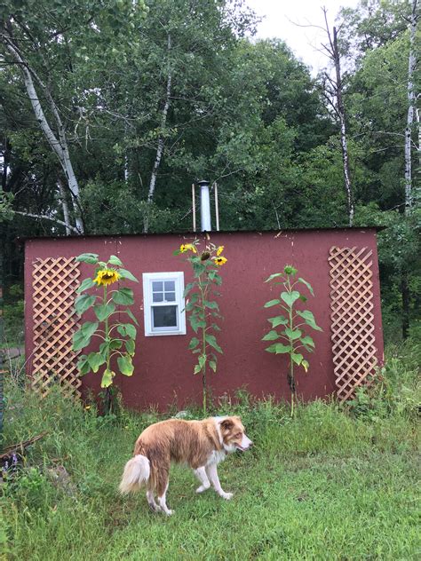 Craigslist Free Stuff Farm | Que Sehra Farm