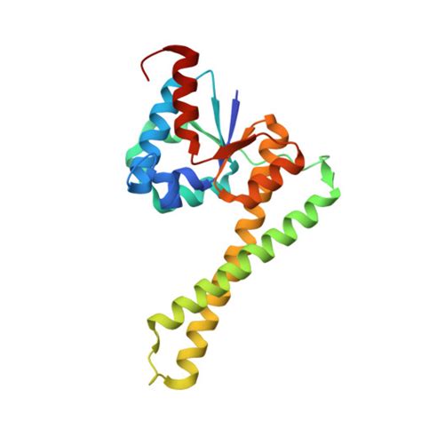 Rcsb Pdb 7e8j Crystal Structure Of Proteinaceous Rnase P Prorp From Thermococcus Celer