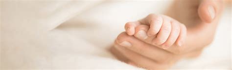 Wichita Erbs Palsy Attorneys Php Law Firm