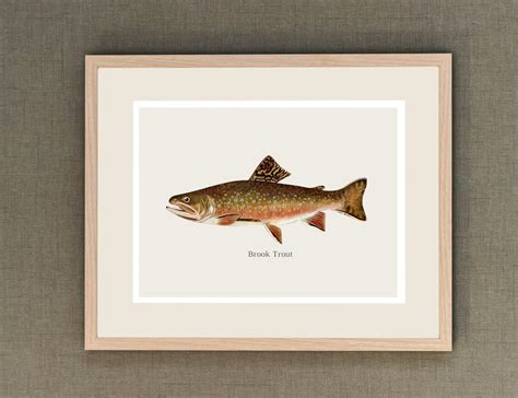 Printable Freshwater Fish Art Prints Set of 4 Fishing Wall - Etsy