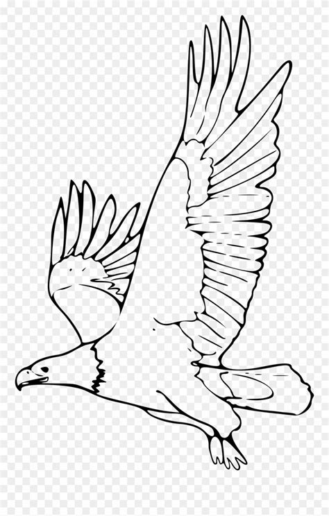 eagle clipart outline picture  eagle clipart outline