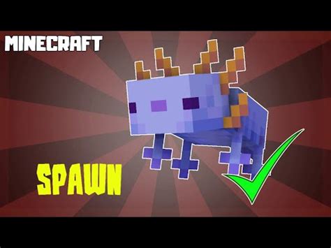 Minecraft How To Spawn Rare Blue Axolotl Youtube