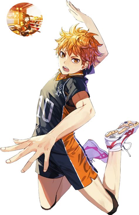 Image Result For Hinata Shouyou Profile Iwaizumi Hajime Hinata Shoyo