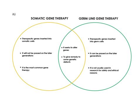 Gene Therapy And Stem Cell Therapy Venn Diagram Venn Genes G