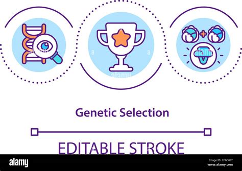 Genetic Selection Concept Icon Stock Vector Image And Art Alamy