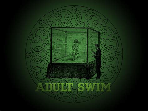 Adult Swim Wallpapers Top Free Adult Swim Backgrounds Wallpaperaccess