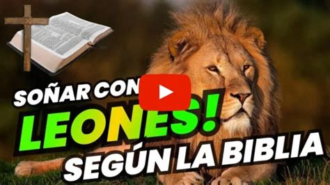 Qu Significa So Ar Con Leones Seg N La Biblia Espiritual