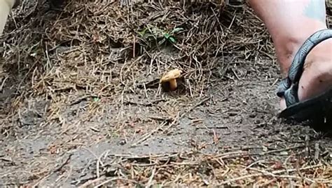 Hodensack Stretching Low Hanger Gay Man Porn XHamster