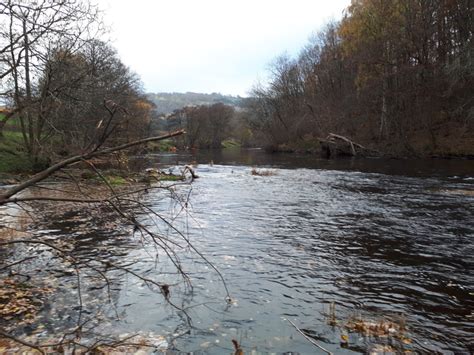 The Fishing Passport: River Dee (Glyndwr Preserve) - Fishing in Wales