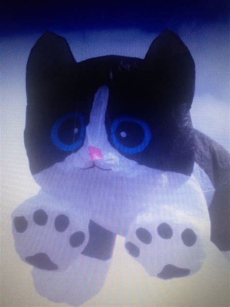 Cat kite | Kite, Character, Cats