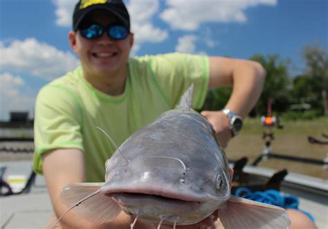 Catfish Noodling: Getting to Grips With a Unique Style of Fishing ...