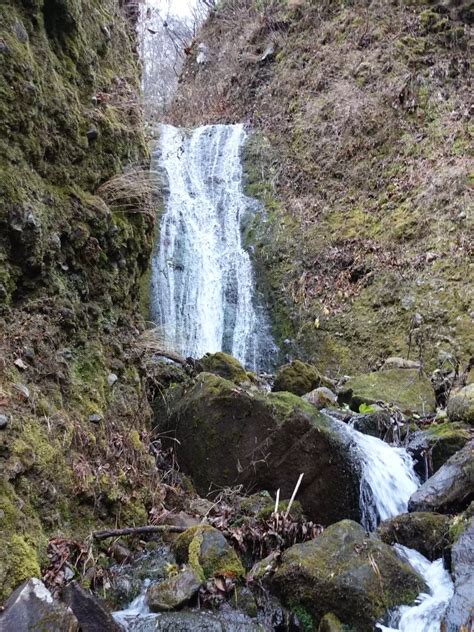 風不死岳 大沢コース Syu2018さんの樽前山・風不死岳の活動データ Yamap ヤマップ