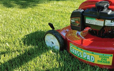 What Is The Best Mowing Height For Your Lawn Grass Pad