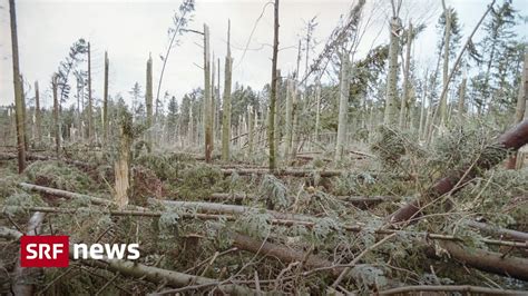 F R N Chsten Sturm Ger Stet In Z Rich Kann Bald Holz In Nasslagern