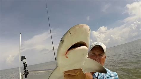 Hooked A Shark While Fishing For Redfish Youtube