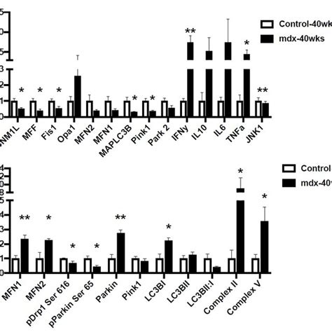 Mitochondria Dna Copy Number Is Reduced At The Onset Of Gross Tissue