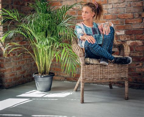 Blonde Girl Sits On A Chair In A Room With Green Palm Stock Photo Image Of Blond Pretty