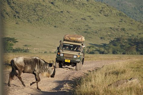 road trip safari   guidebookbalicom