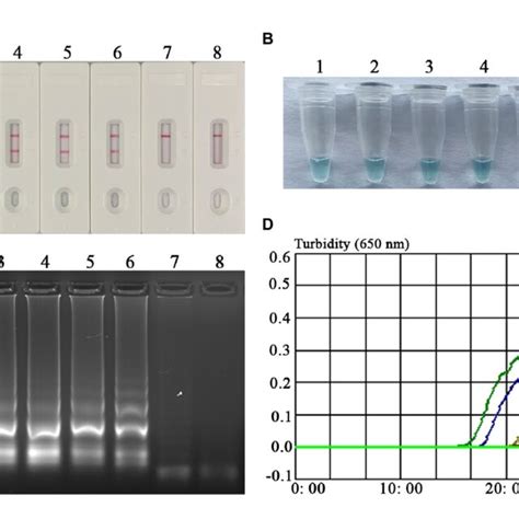 Analytical Sensitivity Of The B Abortus Mcda Lfb Assay One Microliter