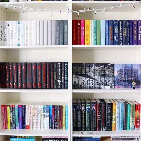 Organizar Livros - Como Organizar os Livros: Veja as Principais Maneiras - Plano Criativo